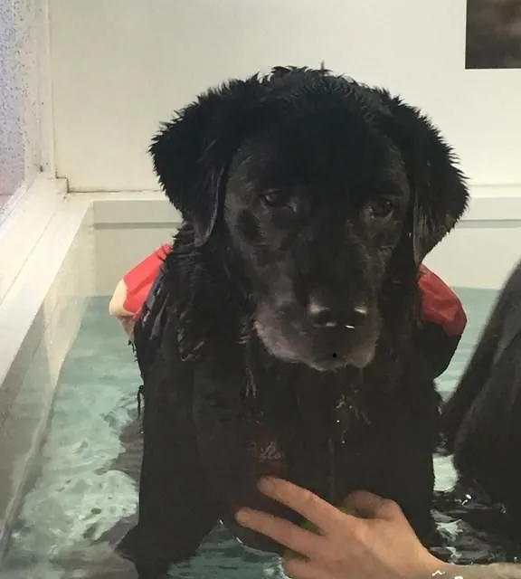 Hydrotherapy