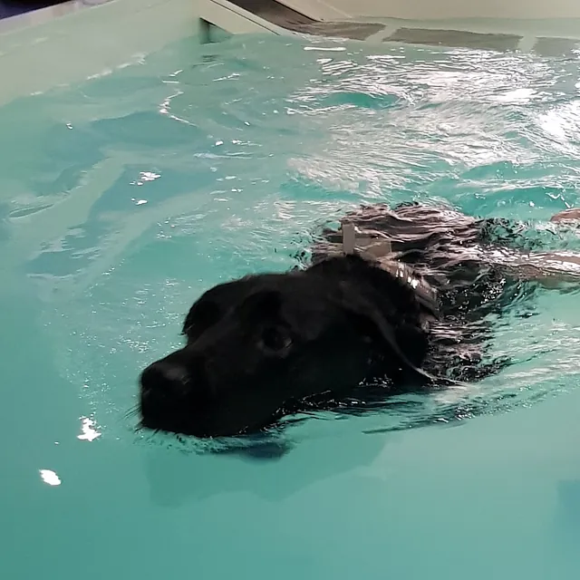 Hydrotherapy