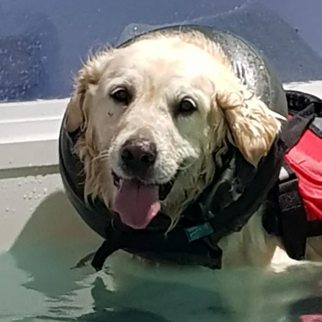 Hydrotherapy