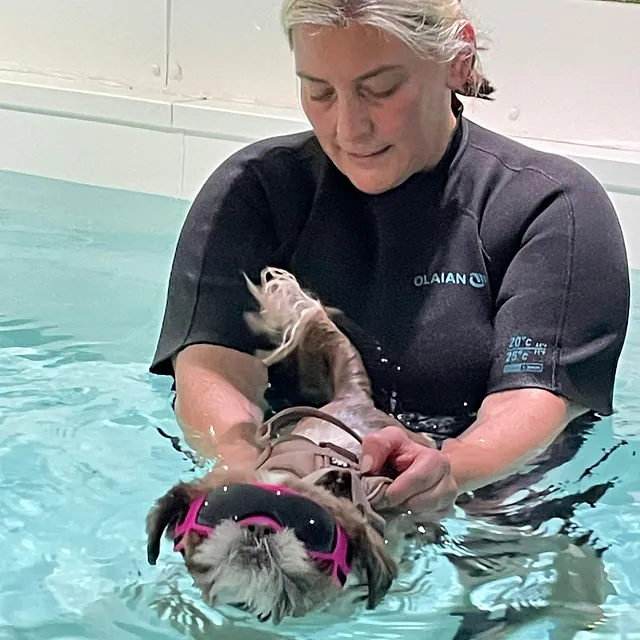 dog hydrotherapy